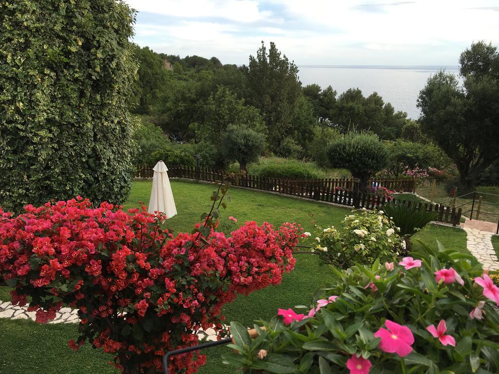 Bed And Breakfast Nefer Maratea Kültér fotó