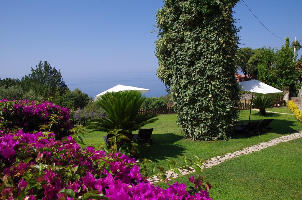 Bed And Breakfast Nefer Maratea Kültér fotó